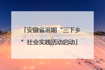 安徽省暑期“三下乡”社会实践活动启动